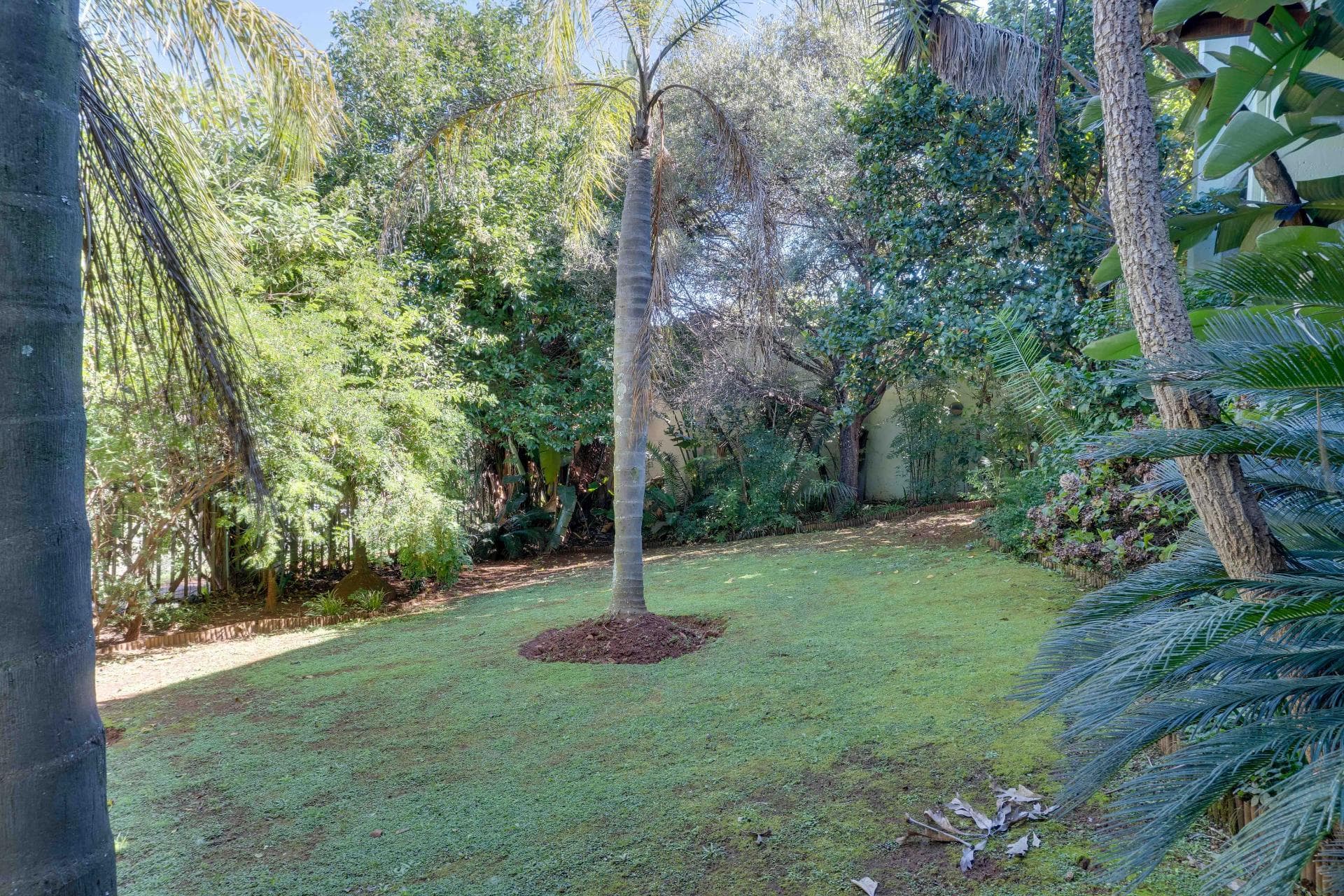 Greenbelt-Facing: The View Behind This Home Will Never Be Built Out | Solar-Powered, 600sqm | Under Roof On A 1,044sqm — image 41