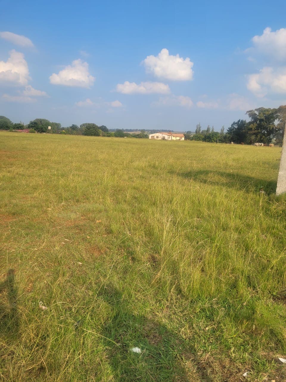 Vacant Land / Plot For Sale in Mapleton, Boksburg — image 4