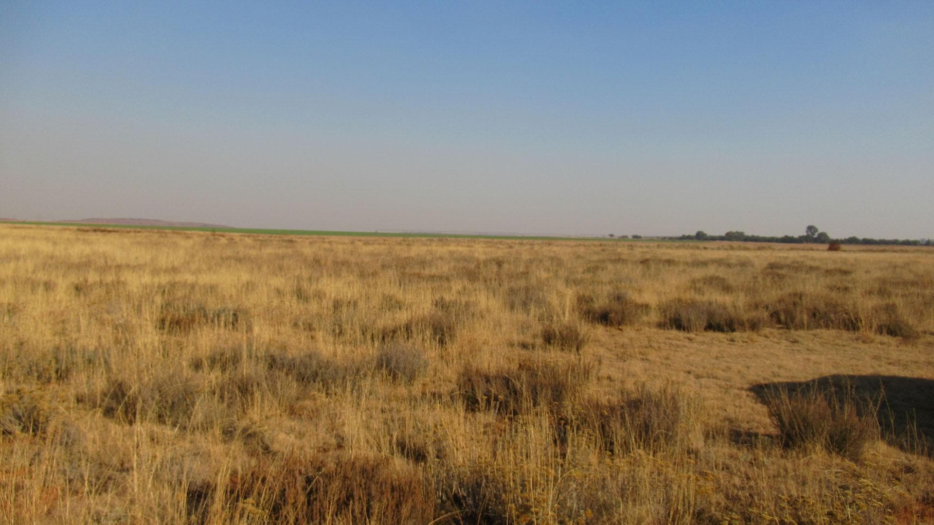 Vacant Land / Plot For Sale in Westonaria, Westonaria