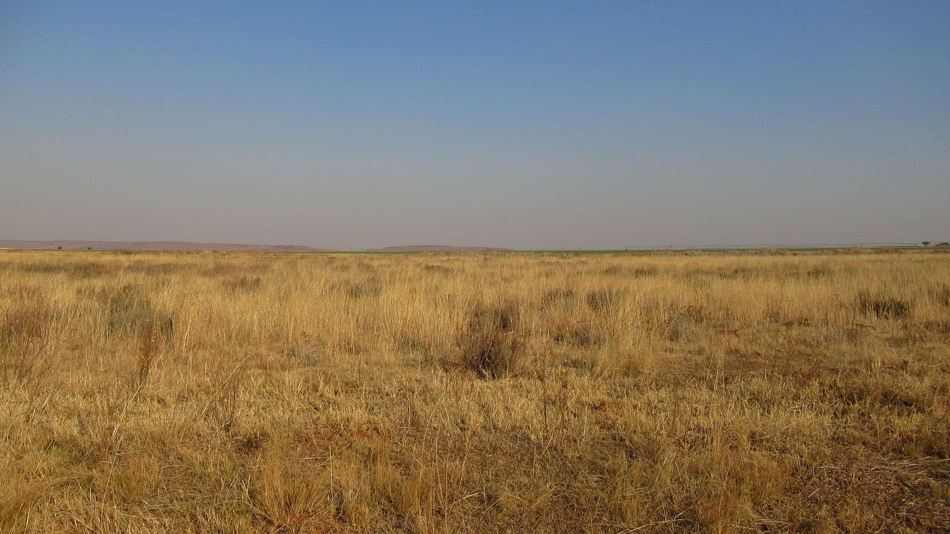 Vacant Land / Plot For Sale in Westonaria, Westonaria — image 6