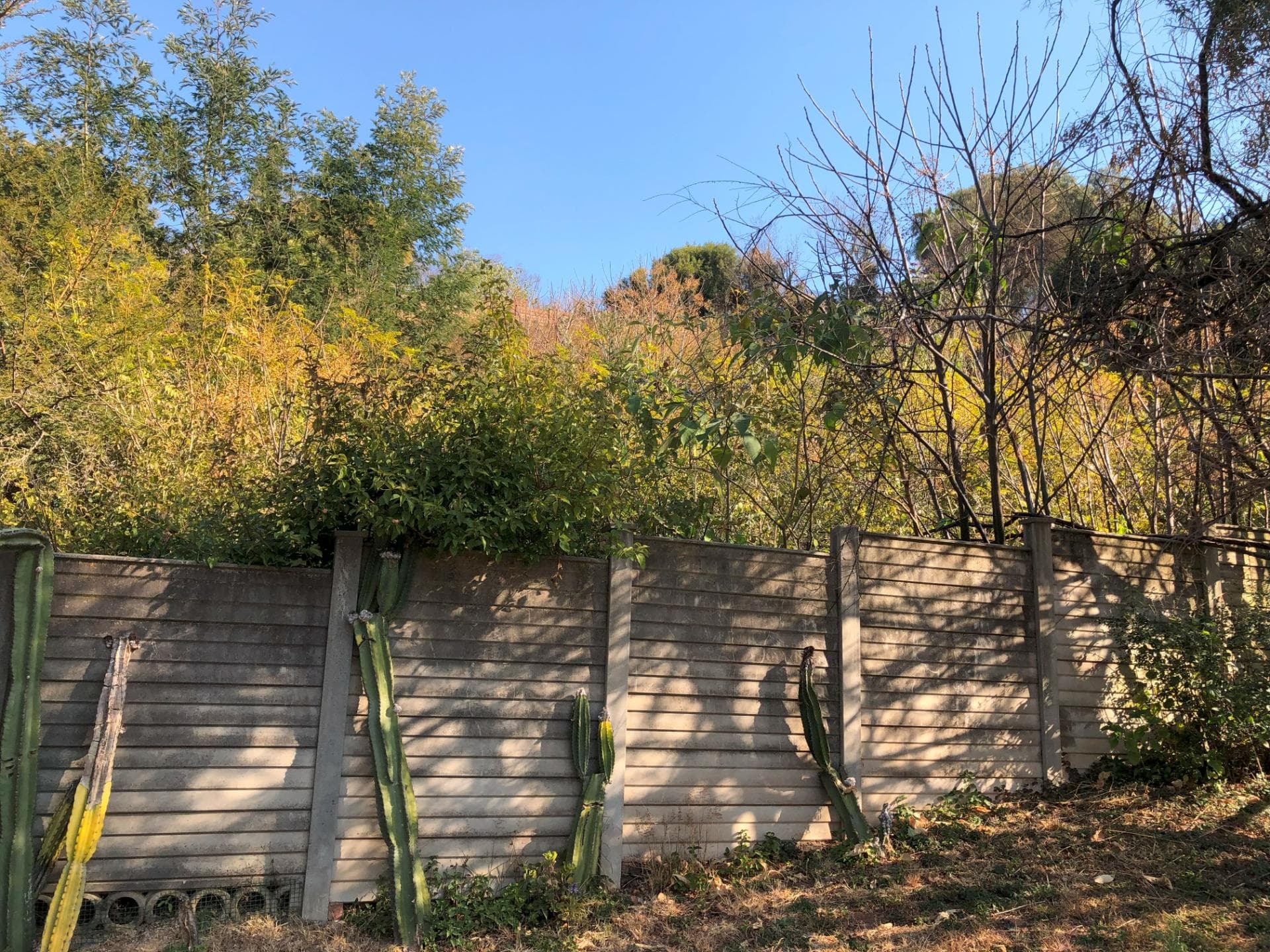 Vacant Land / Plot For Sale in Constantia Kloof, Roodepoort — image 5
