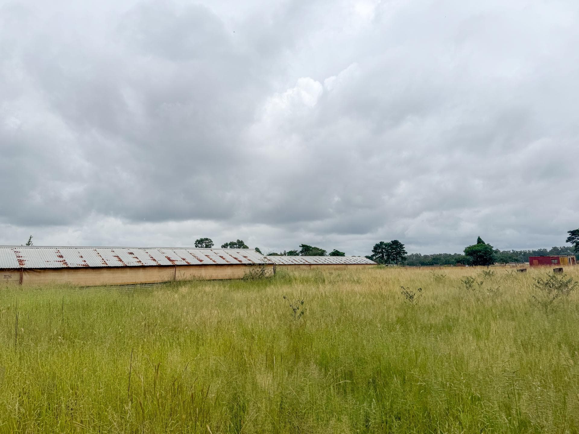 4 Bedroom Smallholding For Sale in Zuurbekom, Randfontein — image 2