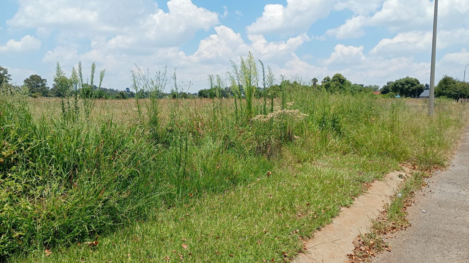Vacant Land / Plot For Sale in Carletonville, Carletonville — image 8