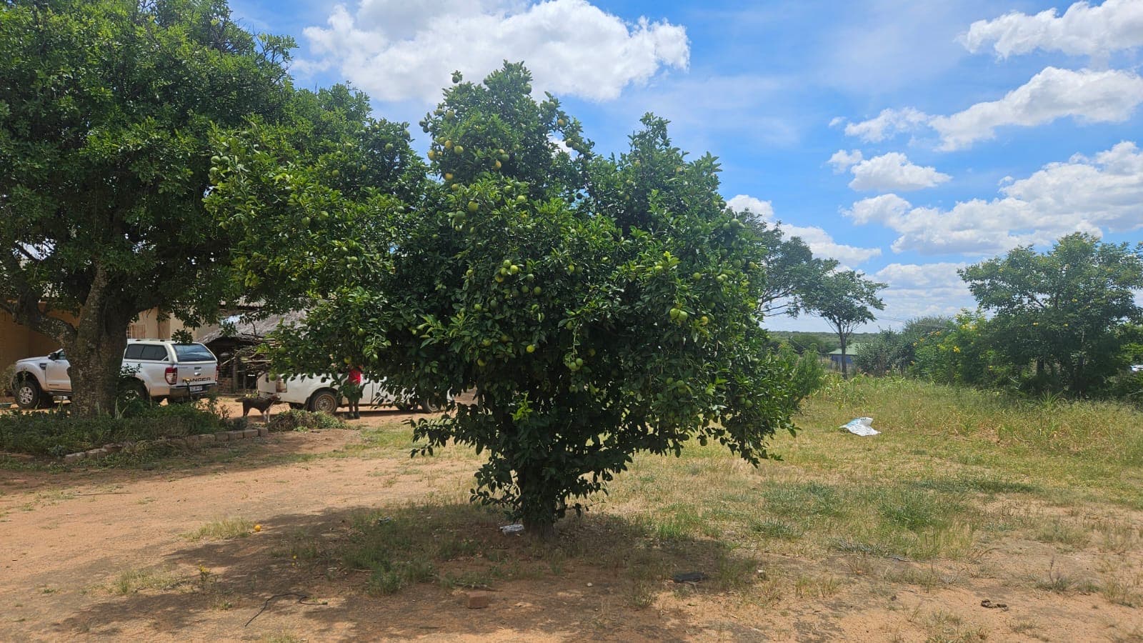 4 Bedroom Smallholding For Sale in Lusthof, Pretoria — image 18