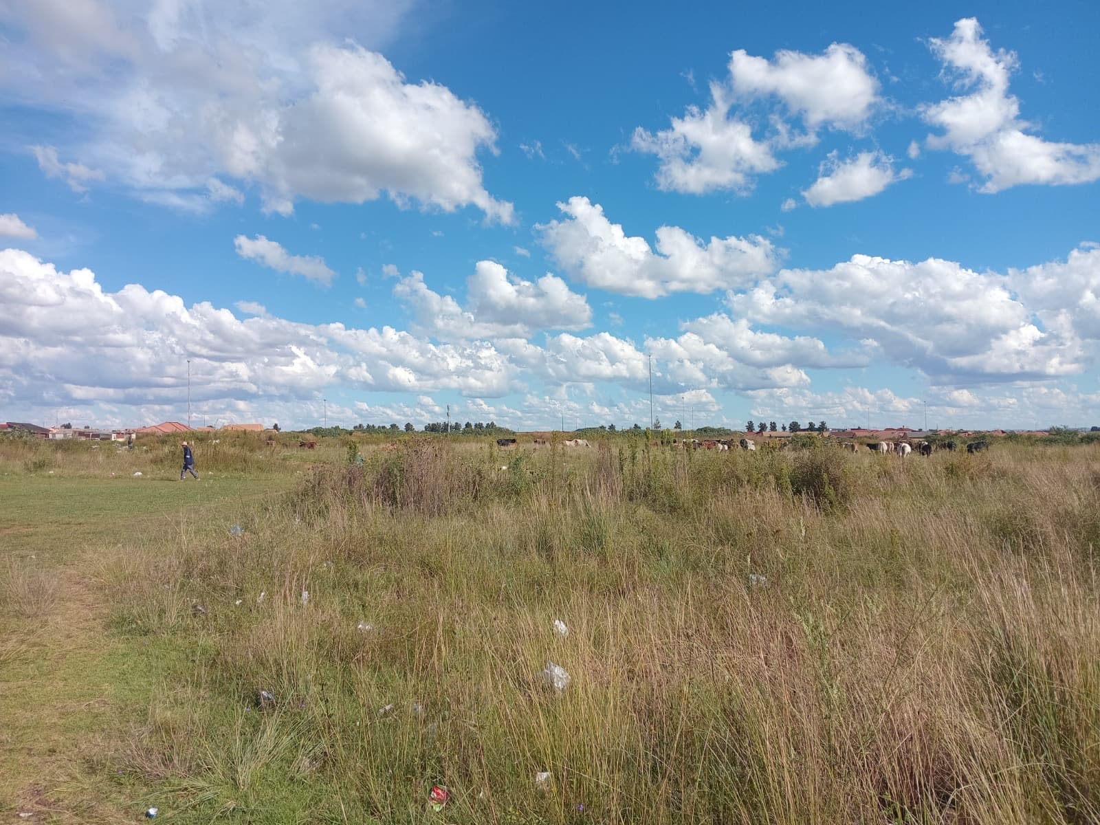 Vacant Land / Plot For Sale in Sebokeng, Sebokeng