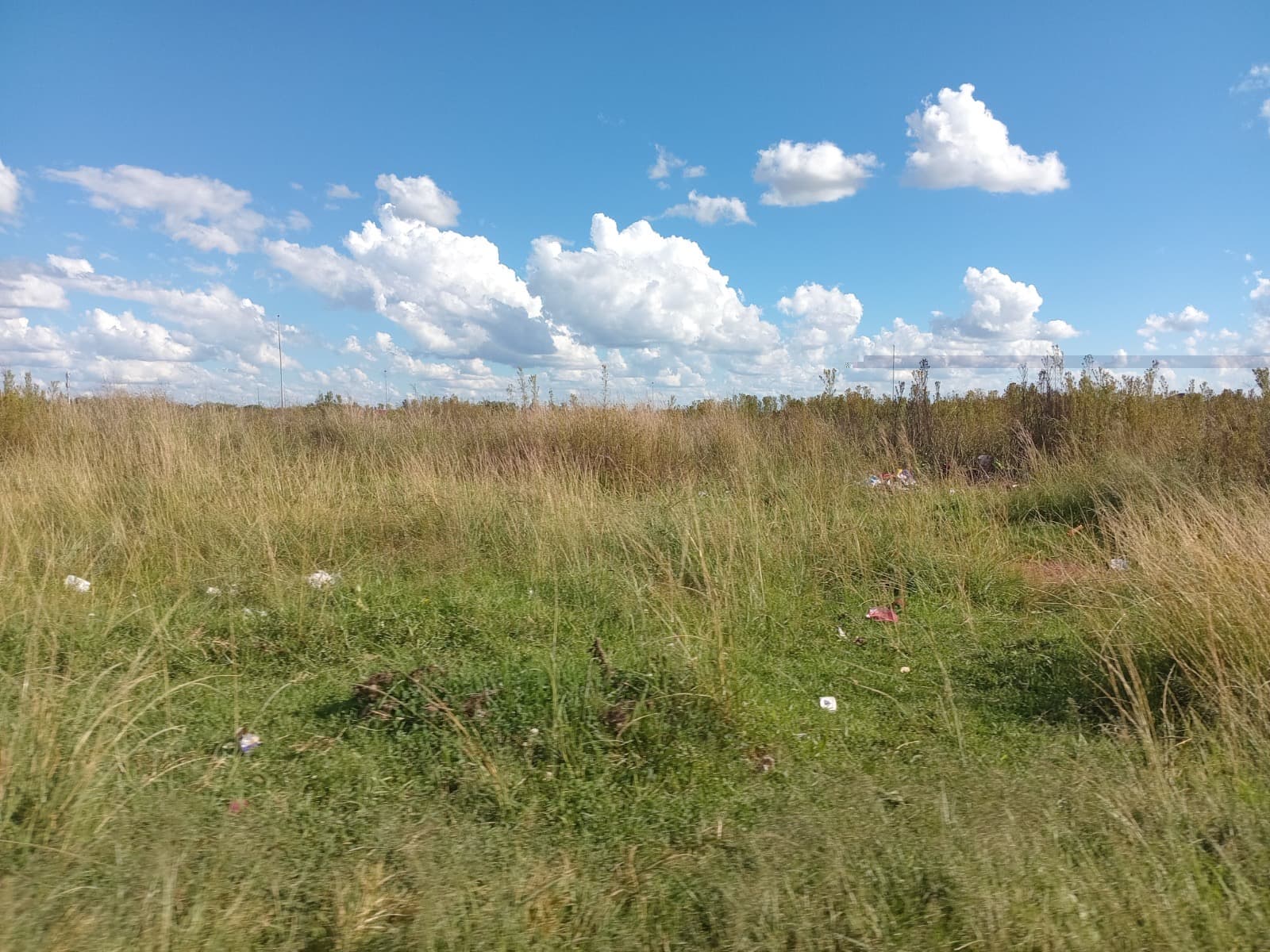 Vacant Land / Plot For Sale in Sebokeng, Sebokeng — image 6